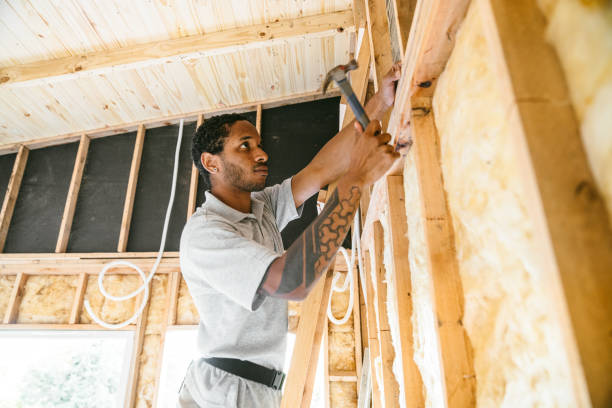 Best Spray Foam Insulation  in Oak Grove, MN