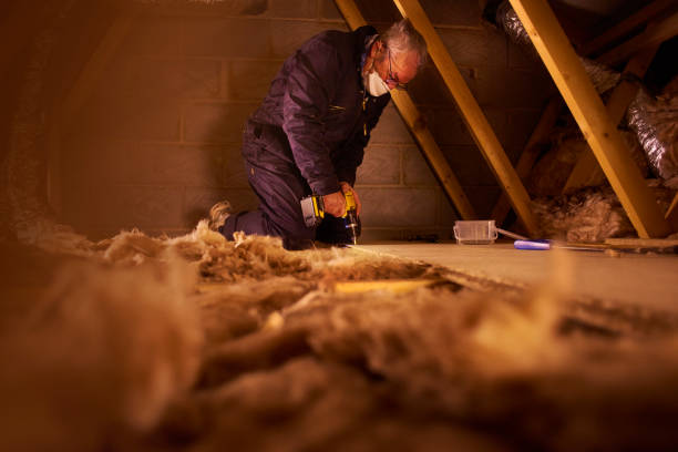 Best Insulation for New Construction  in Oak Grove, MN